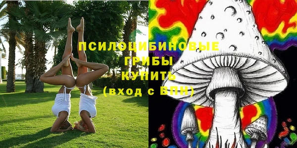 крисы Россошь