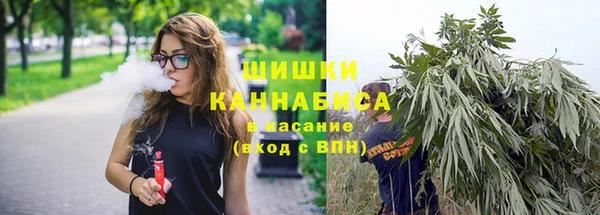 крисы Россошь