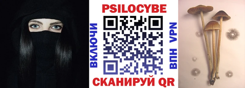 Купить  Лермонтов  Галлюциногенные грибы Cubensis 